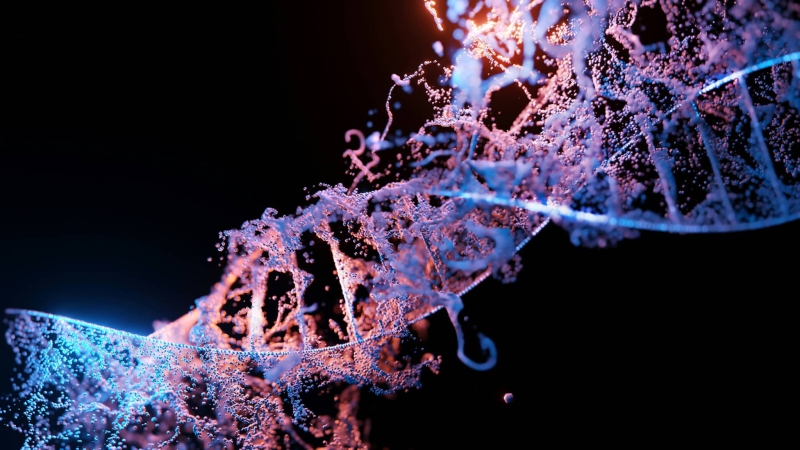 Dna Methylation